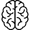 brain