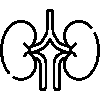 kidneys